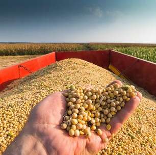 Colheita da soja e plantio do milho estão atrasados no MS