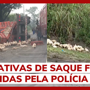 Caminhão com galinhas vivas tomba, e aves se espalham por rodovia na zona oeste do RJ