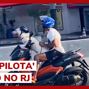 Cachorro é flagrado 'pilotando' moto em avenida no RJ