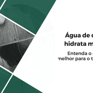 Água de coco hidrata mais do que água?