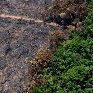 Cúpula da Amazônia: declaração final não traz desmate zero como meta comum nem fim do petróleo