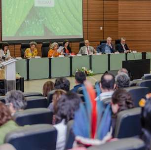 Cientistas propõem estratégia sustentável para a Amazônia baseada em três pontos