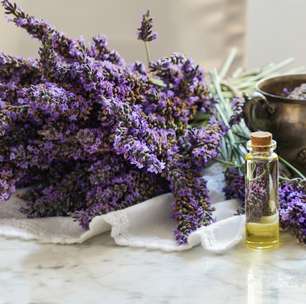 Aromaterapia: o que é, benefícios e 6 aromas para explorar