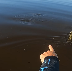 Homem trava batalha com peixe gigante da Amazônia: 'Tive medo'