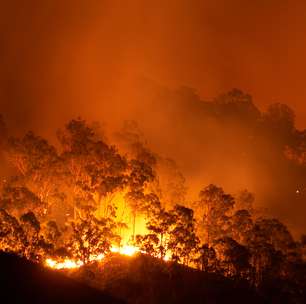 Incêndios podem ter levado à extinção de grandes mamíferos, indica pesquisa