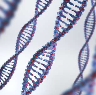 Prêmio Nobel de Medicina 2023: o que é o mRNA, tecnologia que rendeu o título