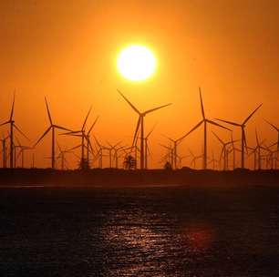 Empresária economiza mais de R$ 30 mil com energia sustentável: 'Bem vista no mercado'