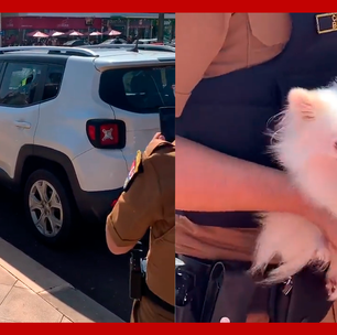 PMs quebram vidro e resgatam cachorro preso dentro de carro no Paraná