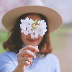 Frases de primavera 2024: mensagens lindas para celebrar a estação