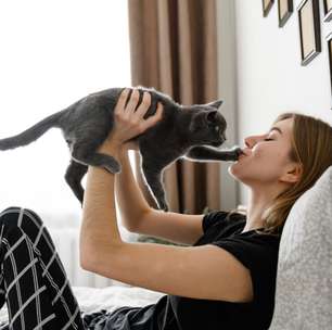 12 formas de demonstrar amor pelo seu gato