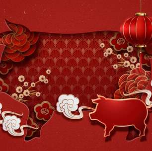 Conheça as características do signo de Javali no horóscopo chinês