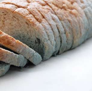 Pode comer a parte 'limpa' do pão mofado? Entenda os riscos