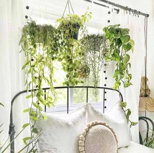 Plantas no quarto: 8 ideias para dormir perto da natureza