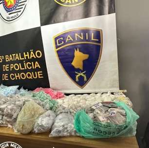 Cão da Polícia Militar ajuda a apreender 12 mil porções de drogas em SP