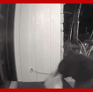 Câmera flagra urso 'roubando' comida deixada em porta de casa nos EUA