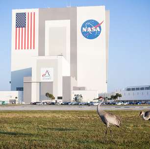 NASA cria serviço de streaming e promete mostrar tudo sobre o universo
