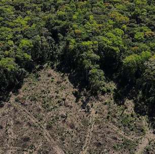 Brasil deve desmatar área equivalente a MG até 2050, projeta estudo de Oxford