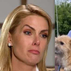 Cachorro de Ana Hickmann que a defendeu de Alexandre Correa, Joaquim foi parar na família contra vontade do empresário