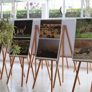Exposição 'Tesouros Naturais de Visegrád' entra em cartaz no hall da Prefeitura de Mogi das Cruzes