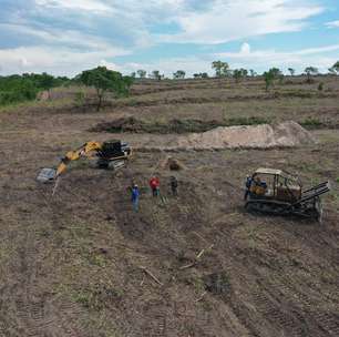 Fiscais da Semad flagram desmatamento e aplicam multa de R$ 224 mil em Crixás
