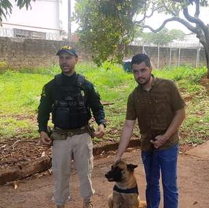 Cão da PRF que ajudou a apreender mais de 10 toneladas de drogas ganha novo lar em Goiás