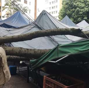 5 pessoas ficam feridas após queda de árvore sobre barracas de feira no Setor Oeste
