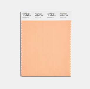 Tom pêssego, Peach Fuzz é a Cor do Ano da Pantone 2024; veja