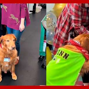 Cão que ajudou na pandemia toca sino para 'celebrar' fim de luta contra o câncer