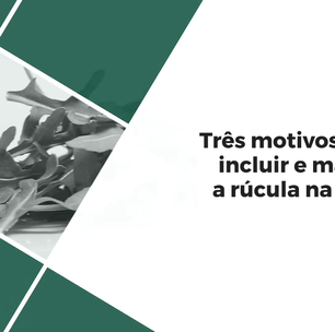 3 benefícios da rúcula para quem pratica atividades físicas