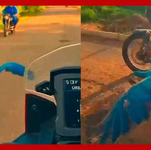 Arara surpreende policiais ao voar entre motos no Tocantins