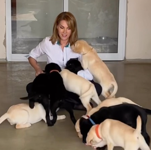 Ana Hickmann visita centro de treinamento para cães de companhia