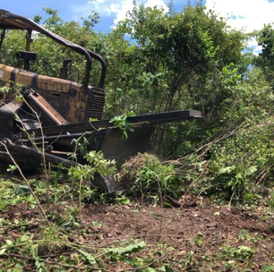 Na cidade de Goiás, fiscais realizam segundo flagrante de desmatamento em 24 horas