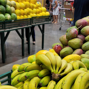 Desafio: janeiro vegano, dicas dos veganos periféricos