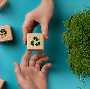 Executivos apontam 5 tendências de ESG para 2024