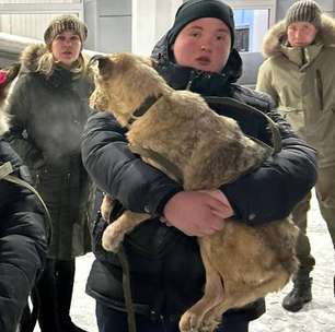 A dramática campanha para salvar cães de rua de serem sacrificados na Rússia