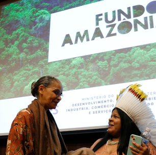 Após 4 anos paralisado, Fundo Amazônia alcança recorde de doações em 2023