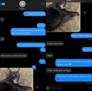 Mulher é surpreendida com resposta ao mandar mensagem para o celular do pai falecido