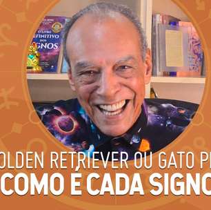 Signos golden retriever X signos gato preto: qual é o seu?