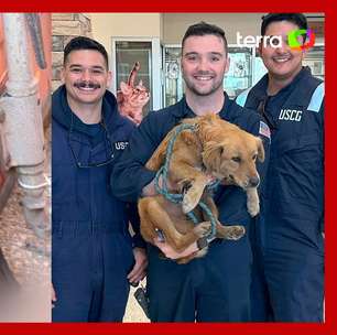 Cachorra é resgatada após ficar oito dias presa em contêiner nos EUA