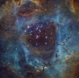 Destaque da NASA: colorida Nebulosa Roseta é foto astronômica do dia