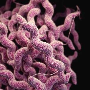 Microbioma da morte | Micróbios podem indicar há quanto tempo uma pessoa morreu