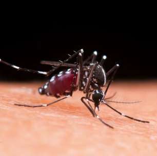 Rio Grande do Sul registra o quarto óbito por dengue em 2024