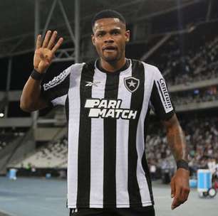 Júnior Santos dedica noite histórica à torcida do Botafogo