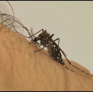 Prefeitura de Suzano confirma segundo óbito por dengue na cidade
