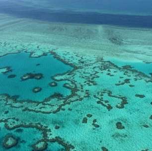 Grande Barreira de Corais da Austrália sofre processo de deterioração em massa