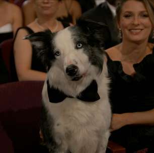 Nudez e cachorro no Oscar? Bastidores revelam que nada disso foi real