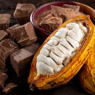 Dia do Cacau: entenda como a fruta vira chocolate e descubra seus benefícios