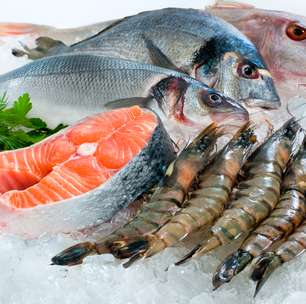 Qual é a melhor peixaria de São Paulo? Veja a opinião dos chefs