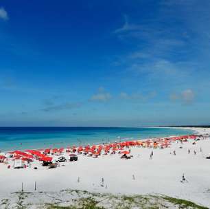 'Festival da Lula' em Arraial do Cabo tem frutos do mar a R$ 35