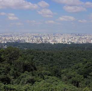 Trilha na Cantareira leva à mirante natural com vista única de São Paulo